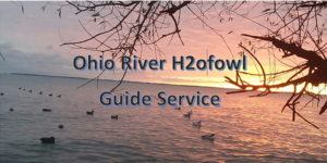 h20fowl